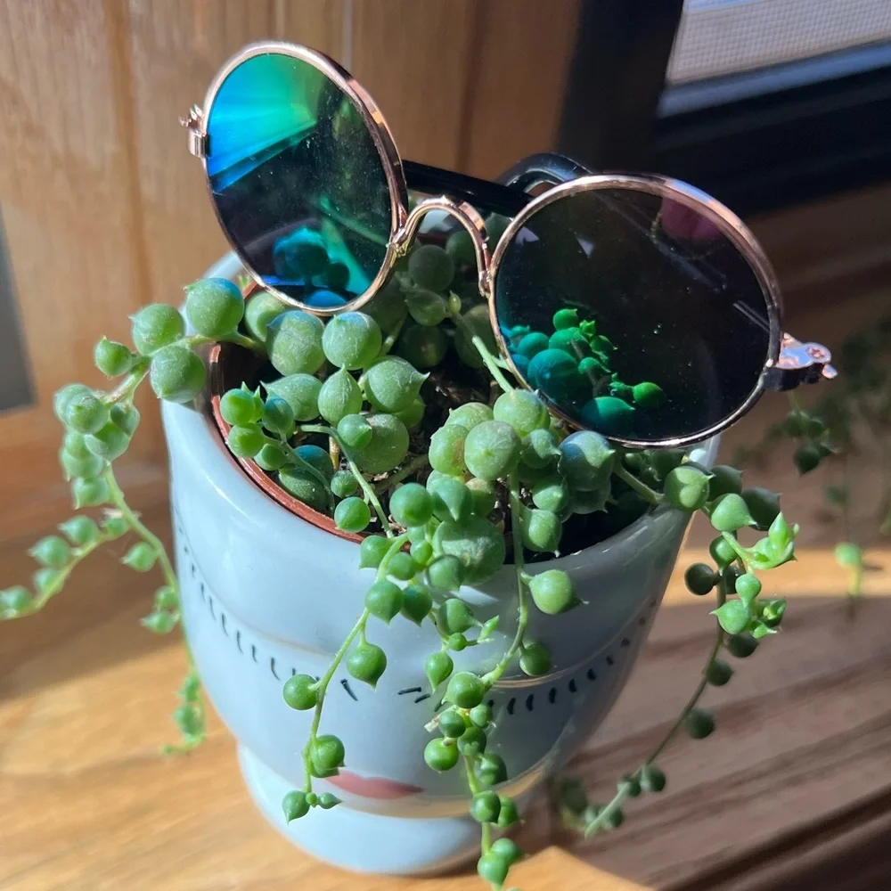 Fashion AVIATOR Pet Eye Glasses - Picture 2 of 7